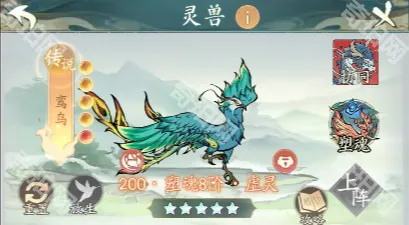 寻道大千鸾鸟
