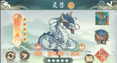 寻道大千搭配