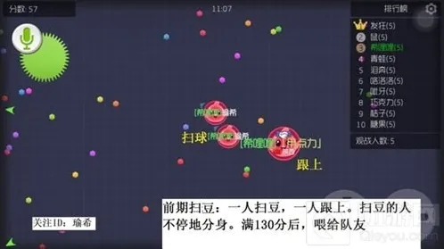 球球大作战团战如何发育 团战必备技巧全汇总