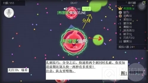 球球大作战队友