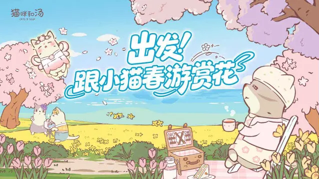 猫咪和汤猫咪
