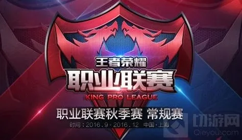 王者荣耀战队