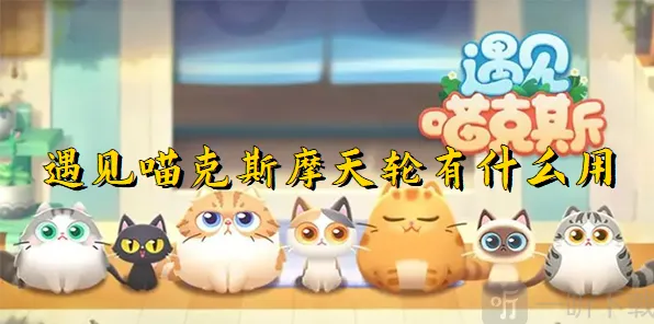 遇见摩天轮的用处教程