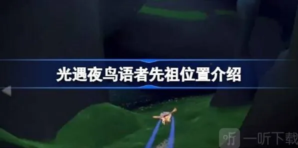 光遇鸟语