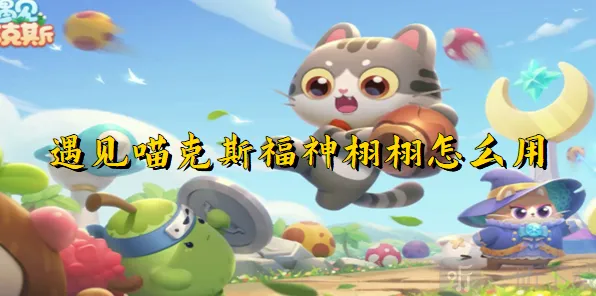 遇见喵克斯福神栩栩攻略教程