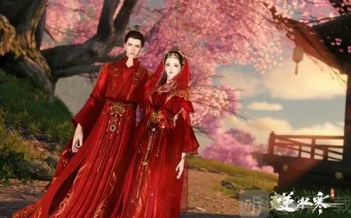 《逆水寒》结婚条件介绍指南