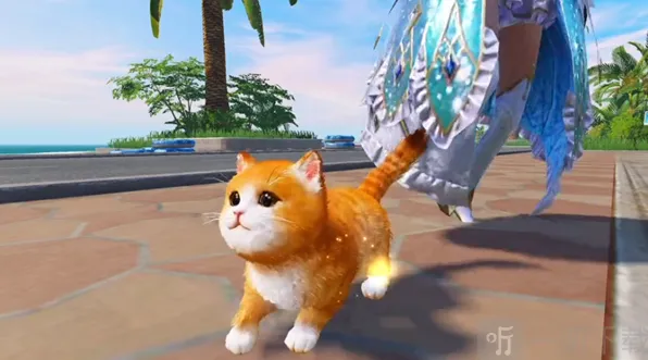 《和平精英》猫咪名字修改教程