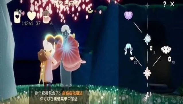 光遇郁金香