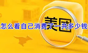 美团软件如何查看美团消费总额方法指南