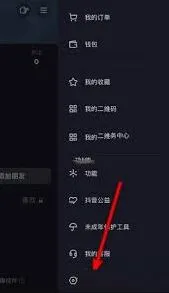 《抖音》 放大功能设置指南