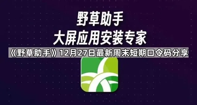 《夸克》12月27日最新周末短期口令码分享详细教程
