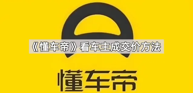 《懂车帝》看车主成交价技巧分享