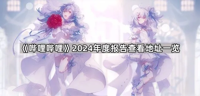 《哔哩哔哩》2024年度报告查看地址技巧