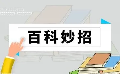 torrentkitty怎么用的详细方法