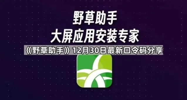 《野草助手》12月30日最新口令码分享详细教程