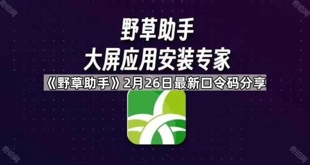 TA野草