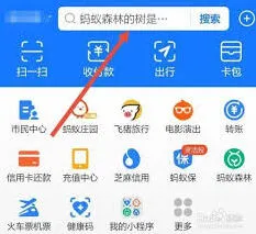 ios支付宝查看健康码URL代码实战教程