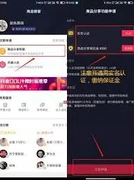 抖音商品橱窗审核超时加急处理技巧详解