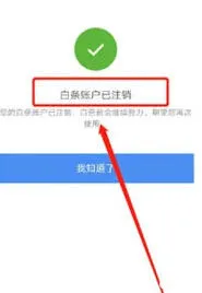 京东是什么意思