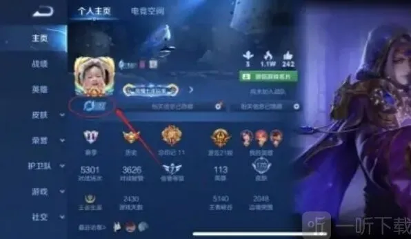 王者荣耀会员