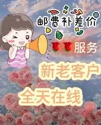 支付宝花呗提前还款全部结清操作步骤
