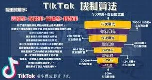 抖音快速获取流量指南