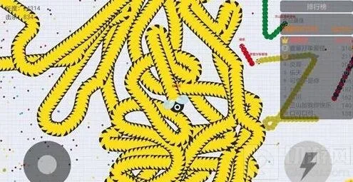 贪吃蛇大作战：2万分高分截图大放送