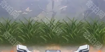 向僵尸开炮一览