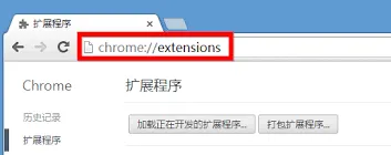 谷歌浏览器迅雷下载设置方法指南