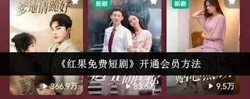 红果免费短剧会员开通攻略与注意事项