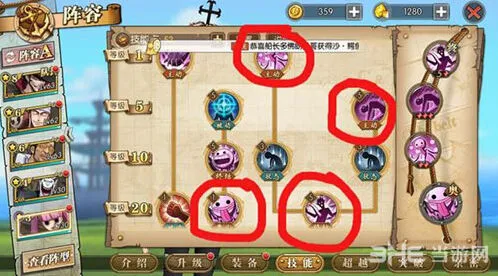 航海王佩罗娜加点要点总结