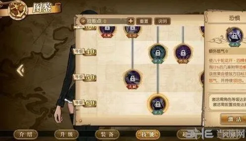 航海王燃烧意志罗宾技能图解玩法