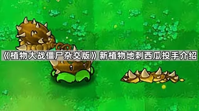 植物大战僵尸地刺西瓜投手攻略大全