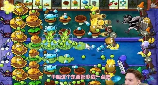 植物大战僵尸攻略
