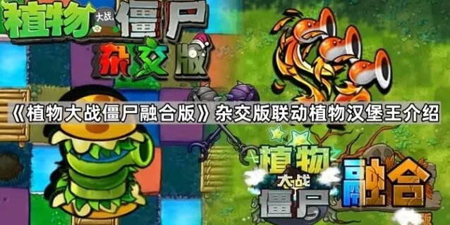 《植物大战僵尸》杂交版汉堡王植物联动指南
