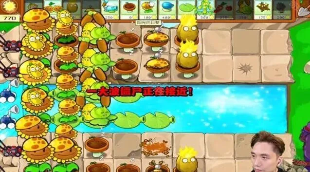 植物大战僵尸攻略