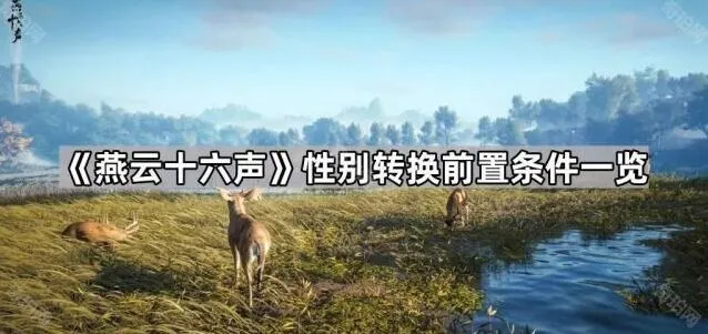 燕云十六声性别转换详细攻略