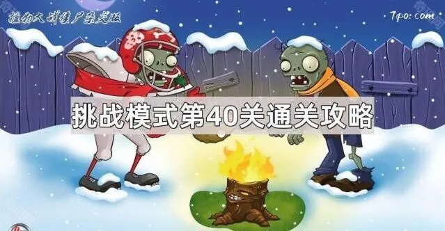 植物大战僵尸挑战模式