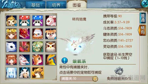 诛仙手游稀有猎鹰捕捉全流程