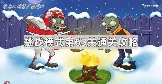 植物大战僵尸挑战模式第63关详解