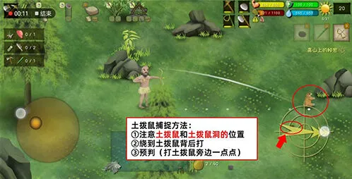 挨饿荒野罗马尼亚高山捉土拨鼠玩法攻略