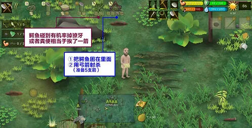挨饿荒野沼泽丛林鳄鱼捕捉方法