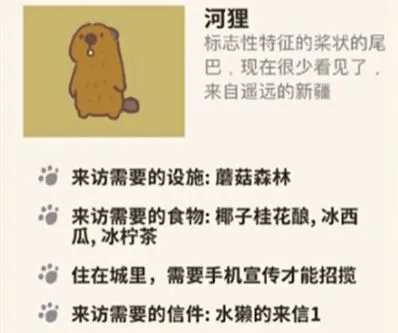动物餐厅河狸来访方式介绍