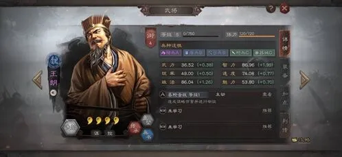 三国志战略版王朗怎么搭配阵容攻略