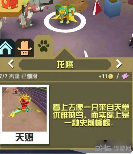《疯狂动物园》龙鹰属性与抓法