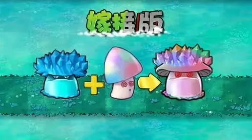 植物大战僵尸新植物魅惑寒冰菇攻略