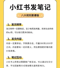 小红书发布