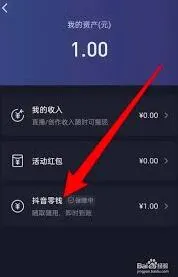 抖音钱包