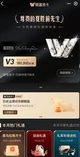 《支付宝》黑色皮肤意思说明