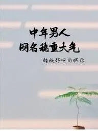 成熟稳重有内涵的微信昵称精选